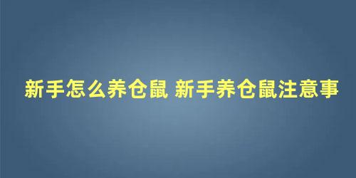 新手怎么养仓鼠 新手养仓鼠注意事项